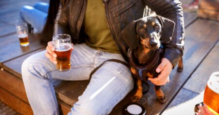 dog at a bar next to beer